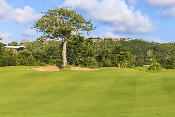 美丽的景色的绿色高尔夫球场 — 图库照片