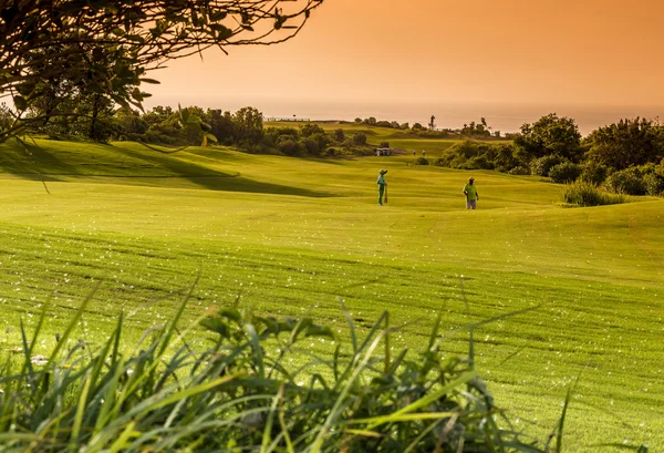 Vacker utsikt över gröna Golf fält — Stockfoto