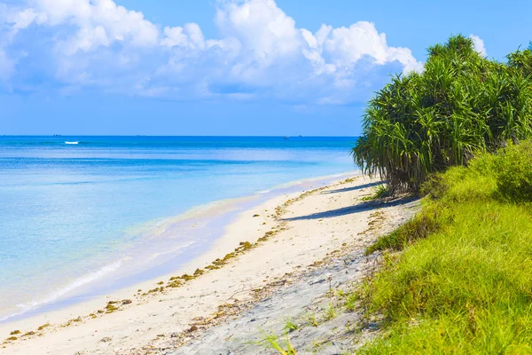 Bellissimo mare e costa — Foto Stock