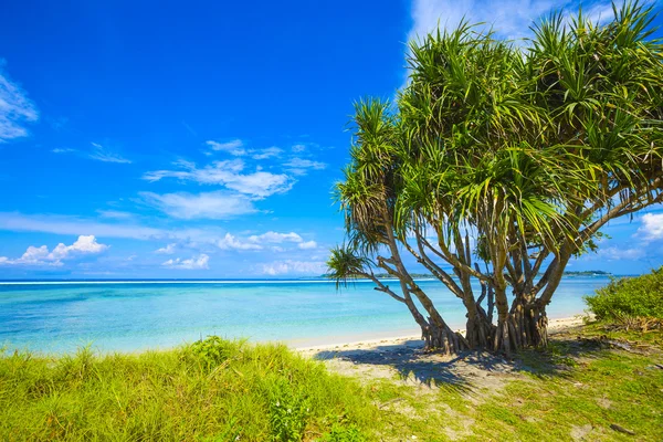 Hermoso mar y costa —  Fotos de Stock