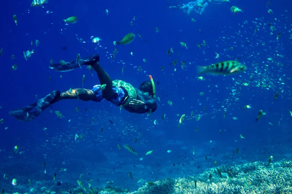 Молода людина, підводне плавання в тропічних води — стокове фото