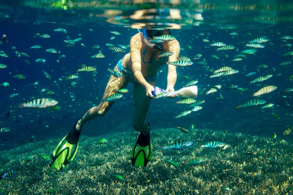 Mujeres jóvenes haciendo snorkel en el agua tropical — Foto de Stock