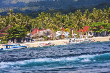 tropikal kıyı şeridi.