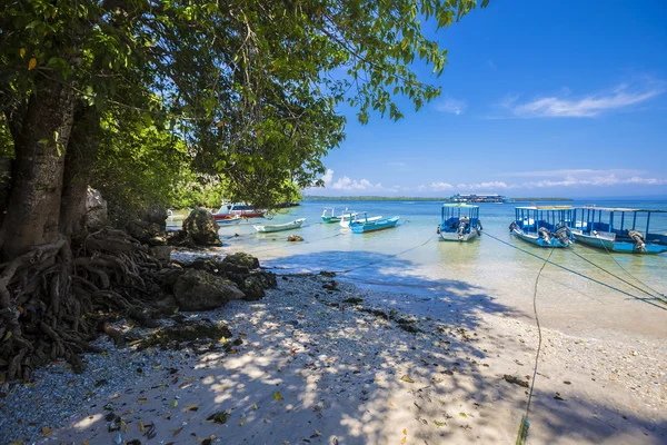 Tropikalne wybrzeże Nusa Penida Island. — Zdjęcie stockowe