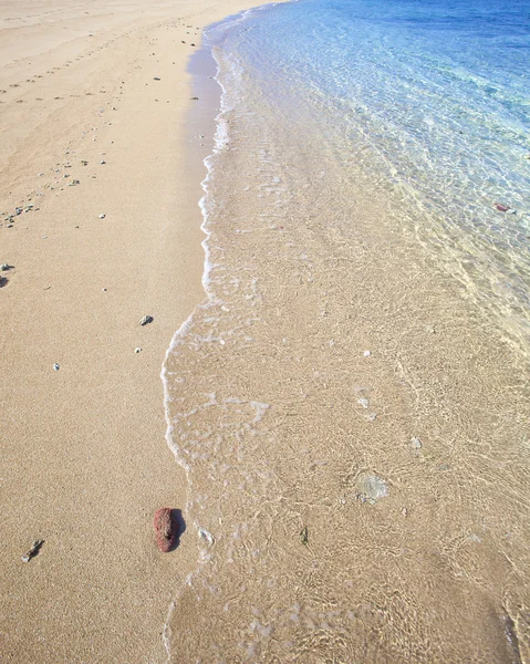 Tropisk strand, Sumbawa, Indonesien. — Stockfoto