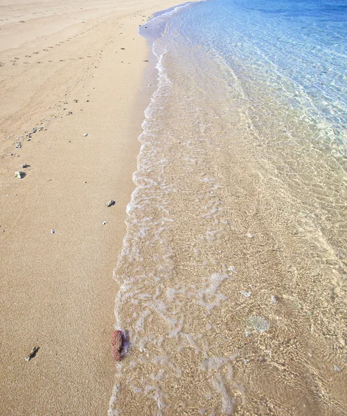 Praia tropical, Sumbawa, Indonésia . — Fotografia de Stock