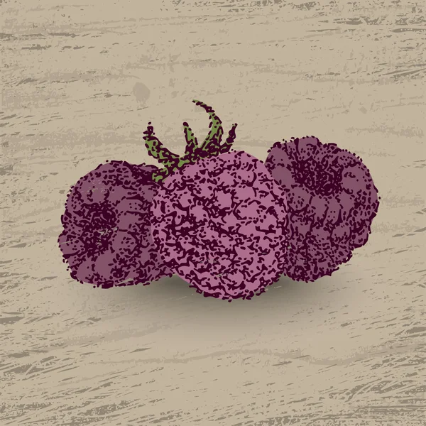Hand drawn dot raspberry — Stock Vector