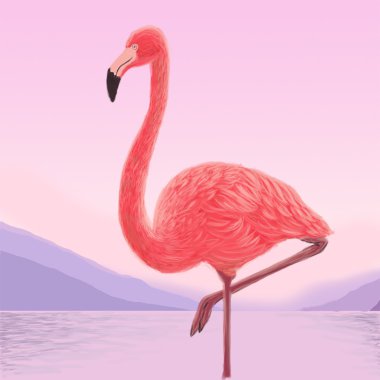 gün batımı flamingo denizin üzerinde
