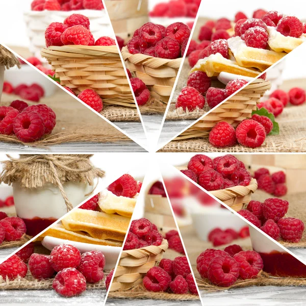 Raspberry Mix Slices