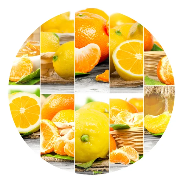 Citrus Mix Slices — Stock Photo, Image