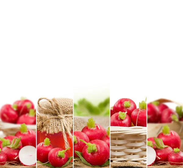 Radish Mix Slices — Stock Photo, Image