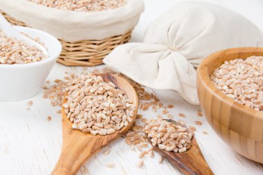 Buğday tohumu yığınları