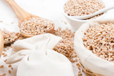 Buğday tohumu yığınları