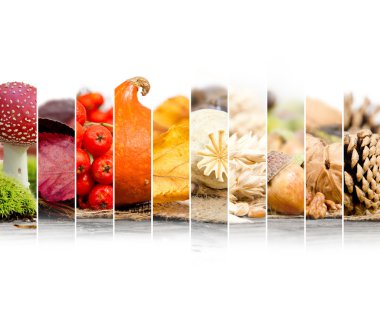 Sonbaharda hasat karışımı