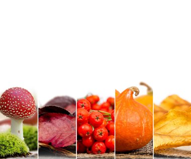 Sonbaharda hasat karışımı