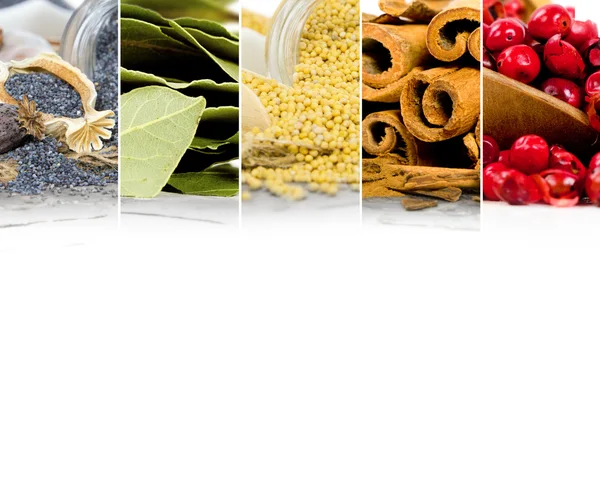 Spice Mix strepen — Stockfoto