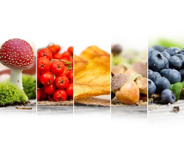 Sonbaharda hasat karışımı