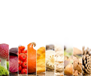 Sonbaharda hasat karışımı