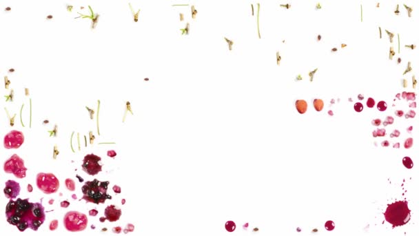 Une Grande Collection Morceaux Cerises Tranches Feuilles Isolées Sur Fond — Video