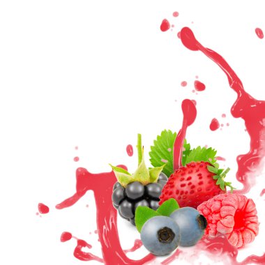 Orman meyve sıçramak