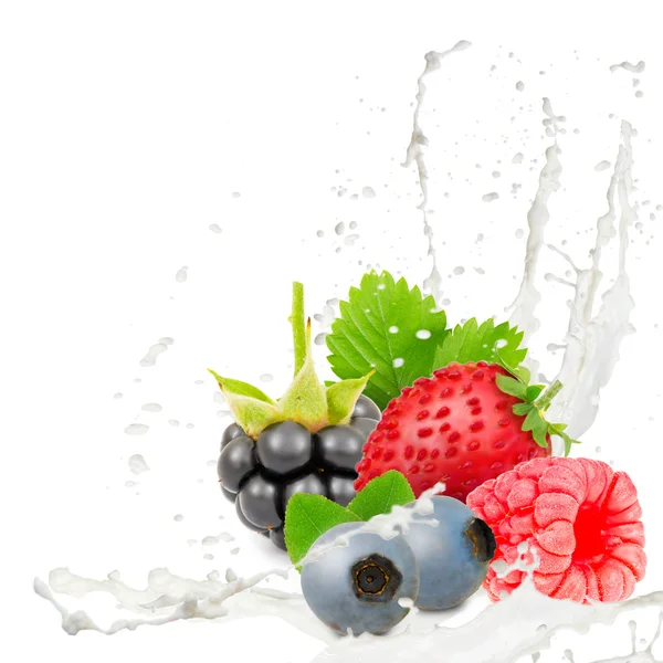 Milk splash berry — Stock Photo, Image
