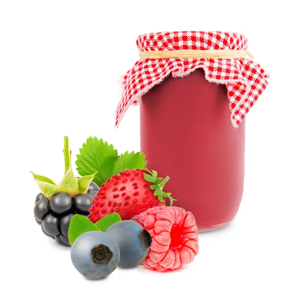Forest fruit jar — Stock Photo, Image