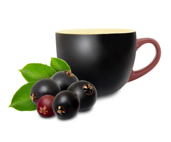 Elderberry tea — Stock Photo, Image