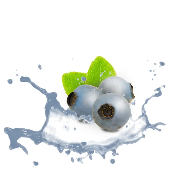 Blueberry splash — Stock Photo, Image