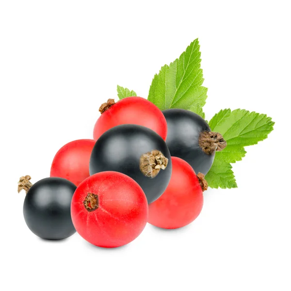 Currant — Stock Photo, Image