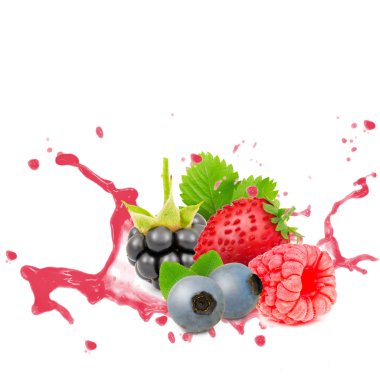 Orman meyve sıçramak