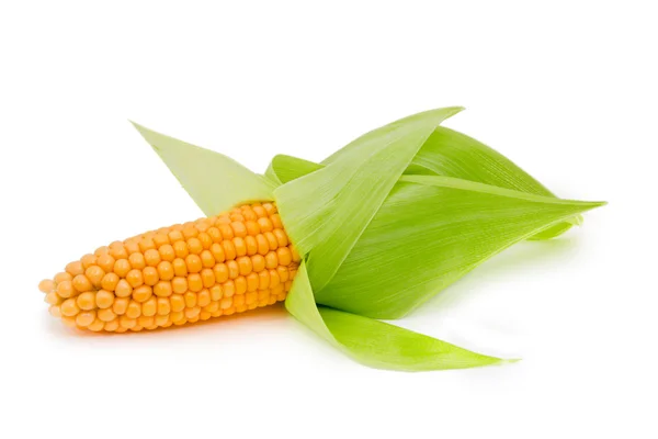 Ucho kukurydzy na białym tle — Zdjęcie stockowe