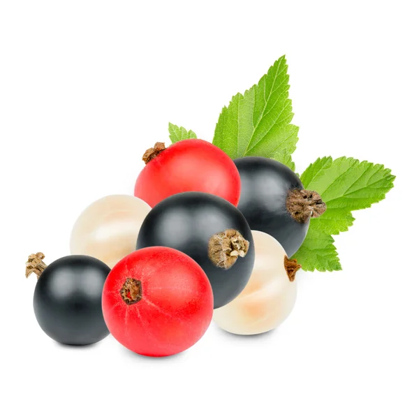 Currant — Stock Photo, Image