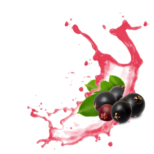 Elderberry 스플래시 — 스톡 사진