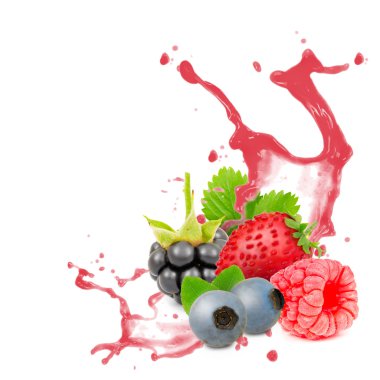 Orman meyve sıçramak