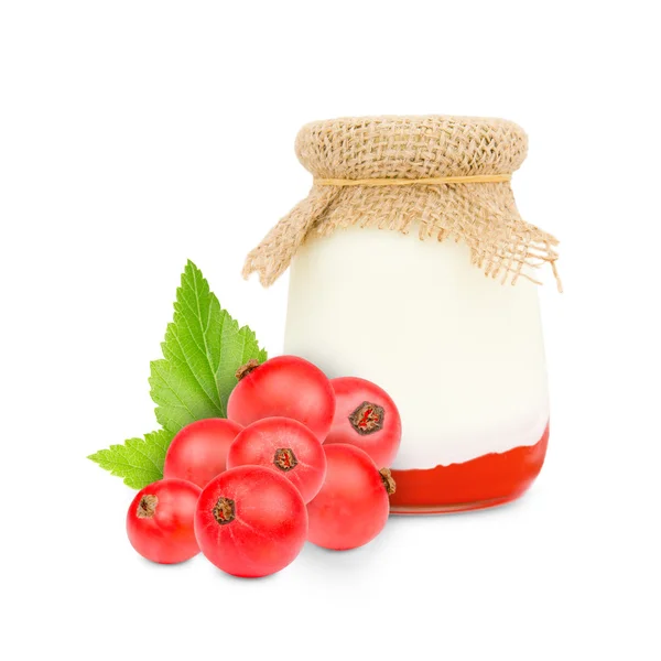 Yogur de grosella — Foto de Stock