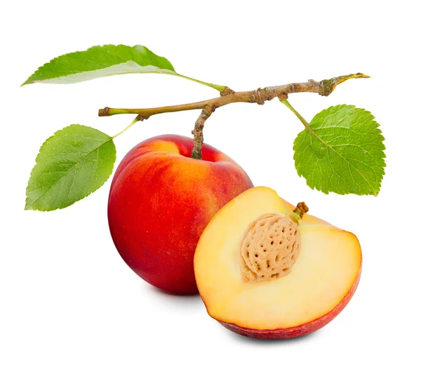 Peach isolated — Stock Photo, Image