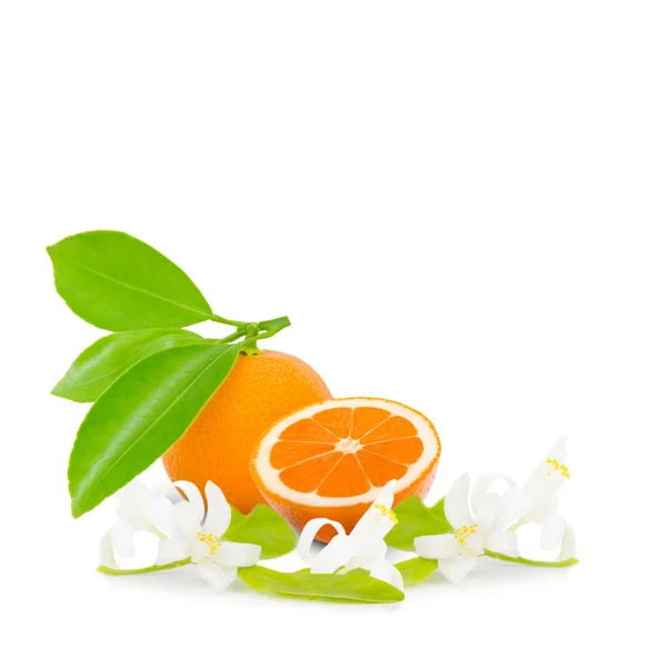 Tangerine isolated — Stock Photo, Image