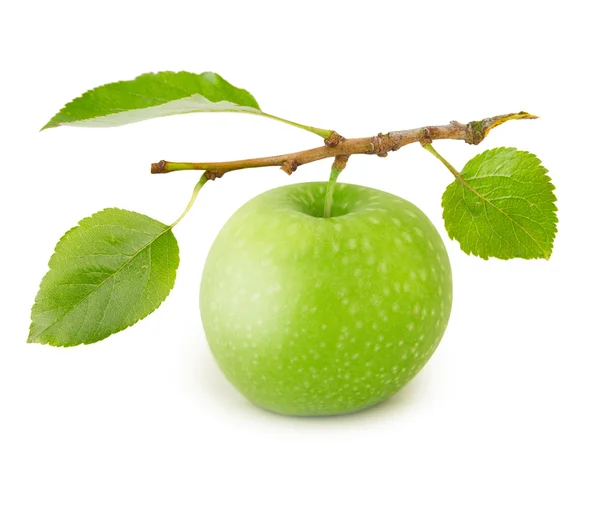 Manzana aislada — Foto de Stock