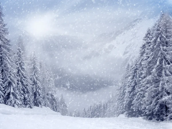 Winter Landscape — Stock Photo, Image