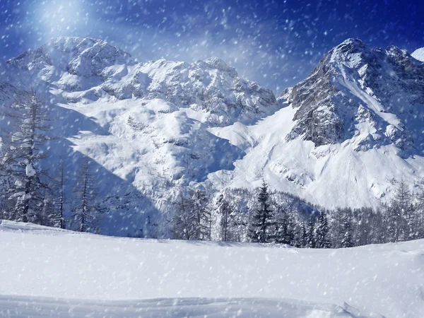 Paesaggio invernale — Foto Stock