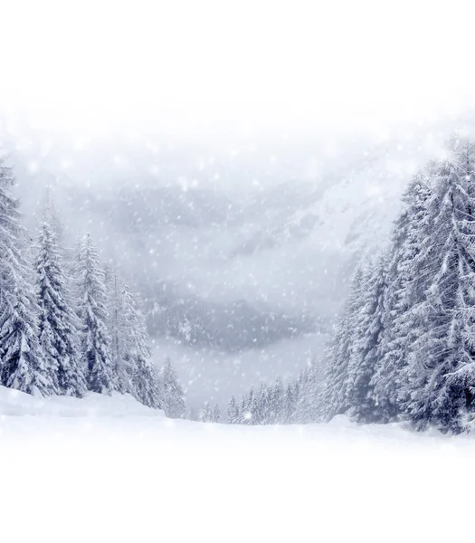 Winter Landscape — Stock Photo, Image