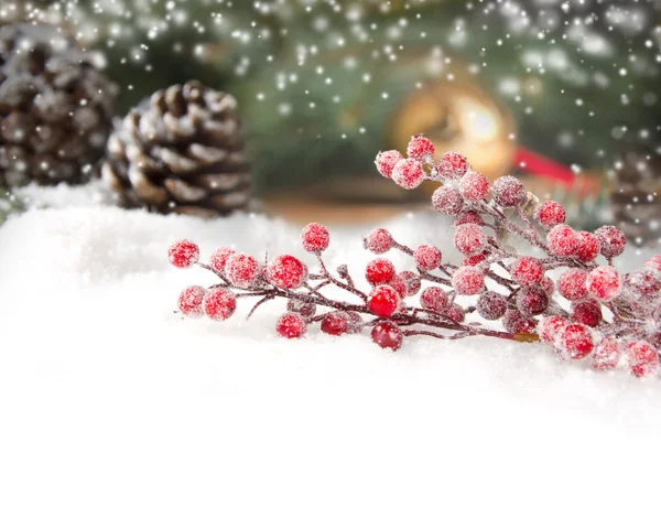 Christmas branch — Stock Photo, Image