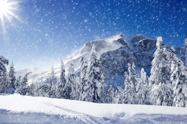 Winter Landscape — Stock Photo, Image