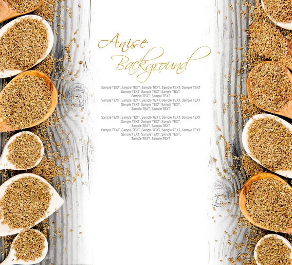 Anise spice — Stock Photo, Image