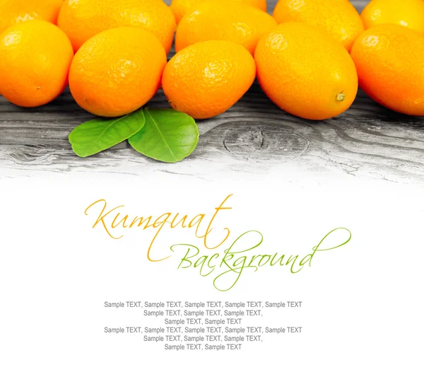 Kumquats — Stockfoto