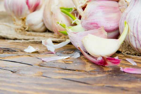 Garlic — Stock Photo, Image