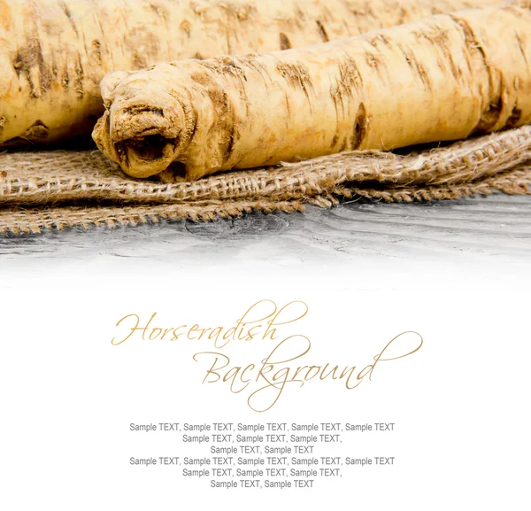 Horseradish — Stock Photo, Image