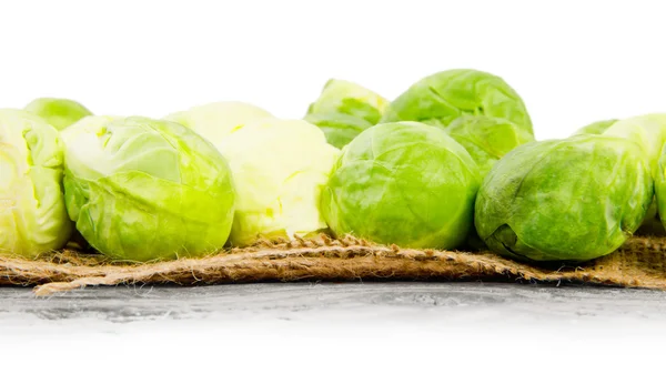 Sprouts — Stock Photo, Image