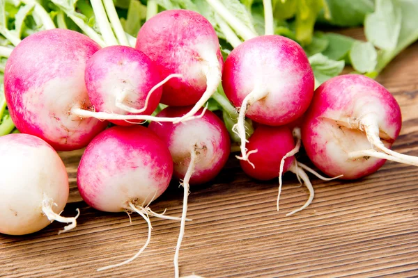 Radish — Stock Photo, Image