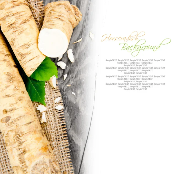 Horseradish — Stock Photo, Image